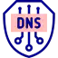 dns